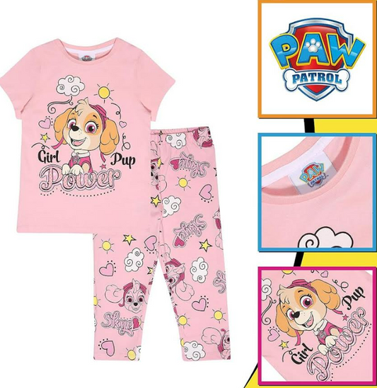 Fully Licensed Girls Paw Patrol Set