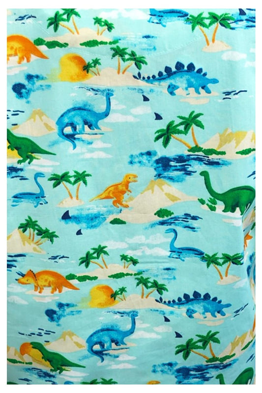 Boys Dinosaur Pyjamas