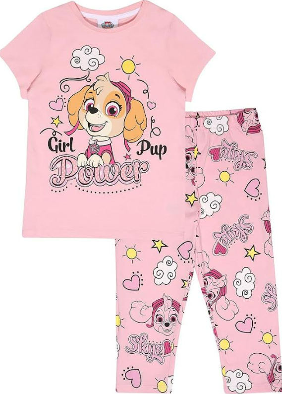 Fully Licensed Girls Paw Patrol Set